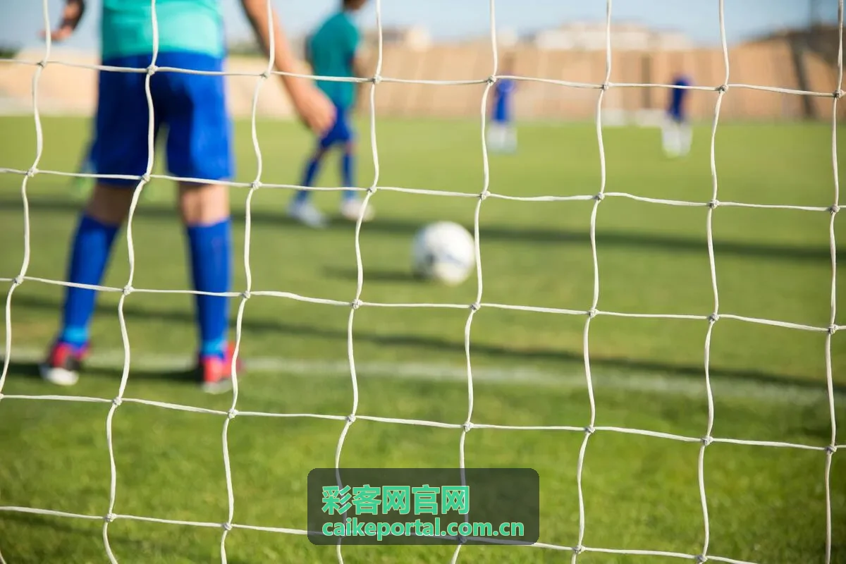 彩客网官网比分中心赛事数据概览